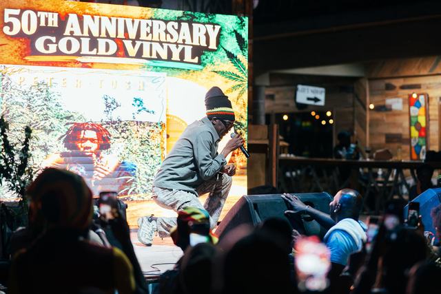 Earthstrong Celebration, Peter Tosh Earthstrong 2026, photo 33