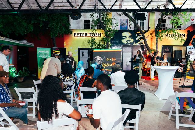 Touch of Tosh, Peter Tosh Earthstrong 2026, photo 12
