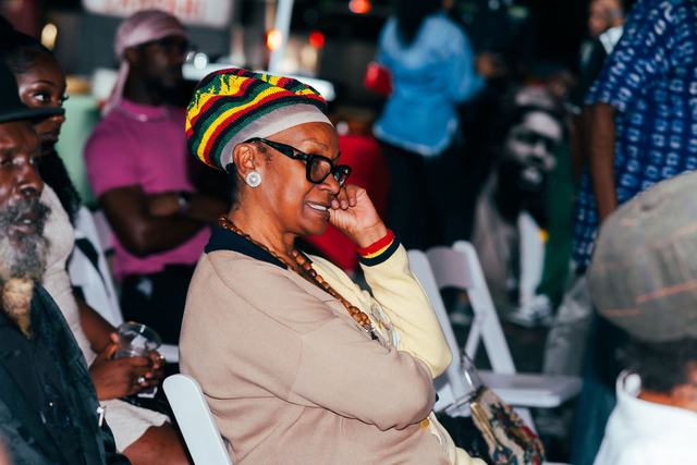 Touch of Tosh, Peter Tosh Earthstrong 2026, photo 18